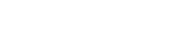 logo-any2any-white